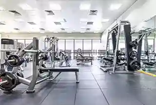 Gymnasium