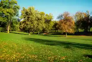 Landscaped Park